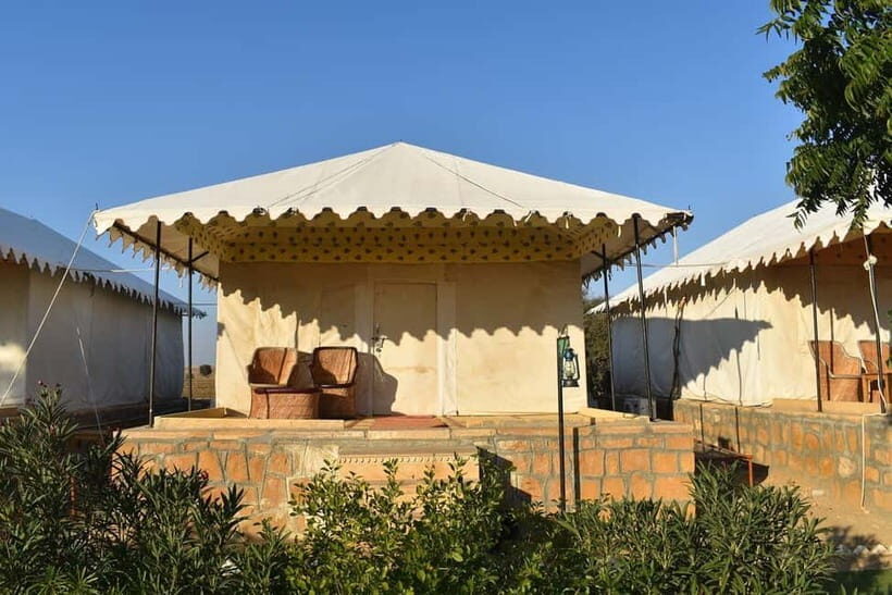 Frenzy Paradise Overnight Thar Desert Camping Tour - Swiss Tent Night: What Comfort Looks Like Here