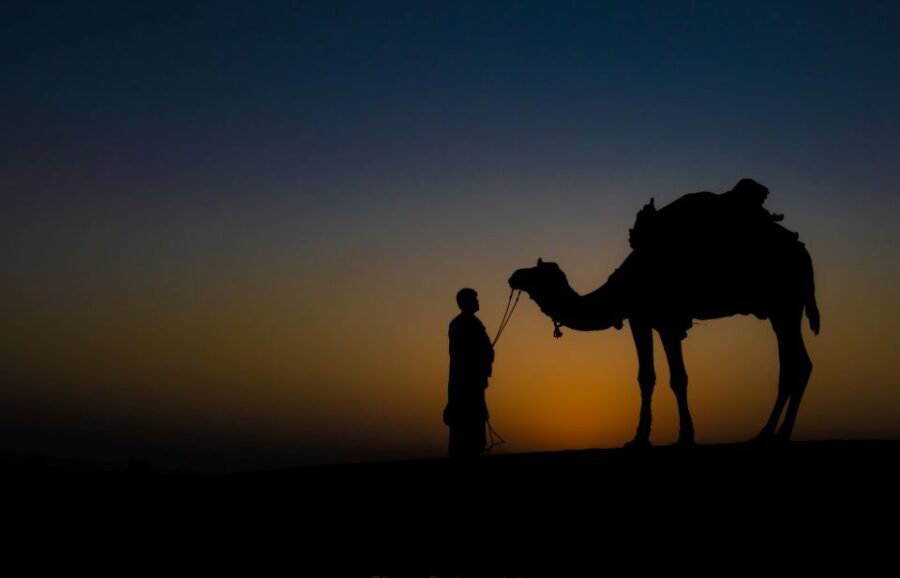 Frenzy Paradise Overnight Thar Desert Camping Tour - Morning Routine on Day 2: Tea, Breakfast, and Check-Out
