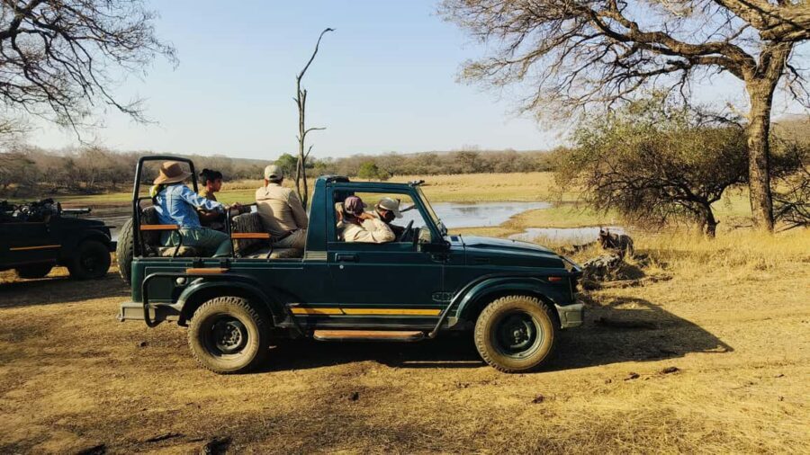 From Agra: 2 Days 1 Night Ranthambore Tiger Safari Tour - Dawn patrol on day two: why early morning drives matter