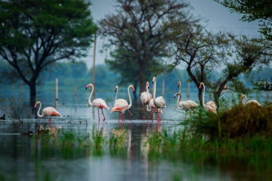 From Agra: Taj Mahal, Fatehpur Sikri & Bird Safari Tour - The Quick Verdict: Should You Book This Tour?
