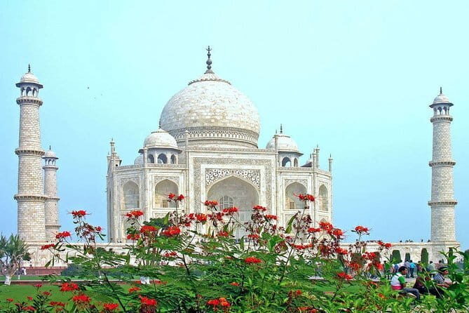 From Delhi: 1-day trip Mathura with Elephant conservation - Price and value: what $135 covers, and what you still need to budget