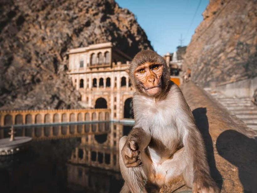 From Delhi: 2-Day Agra & Jaipur Golden Triangle Experience - Fatehpur Sikri: the quiet, deserted detour that adds meaning