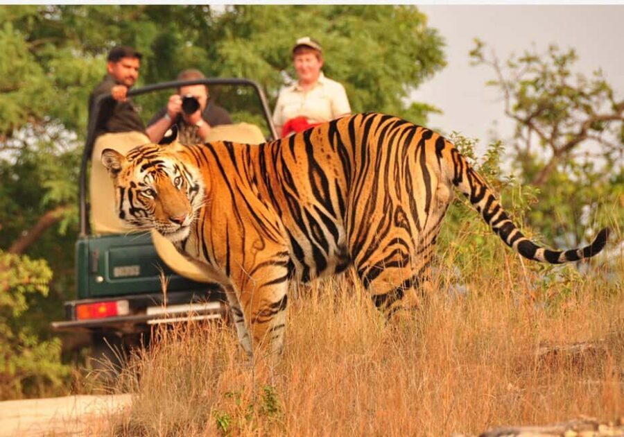 From Delhi: 6-Day Golden Triangle Tour with Ranthambore - Key things I’d watch before booking
