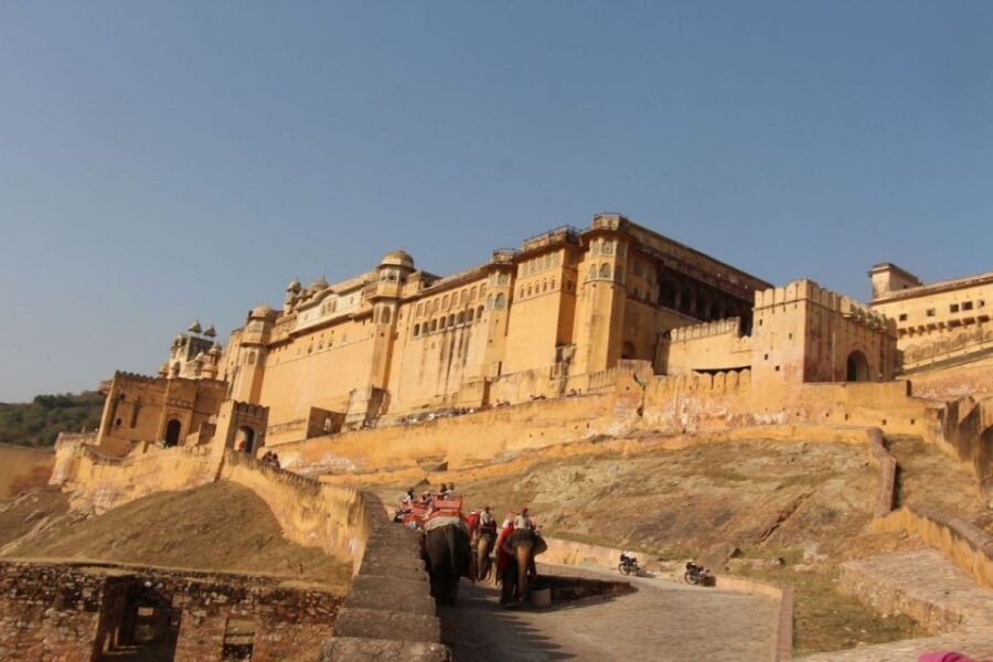 From Delhi: All-Inclusive Same-Day Jaipur Tour By Car Tour - Price and logistics: is $19 really good value?