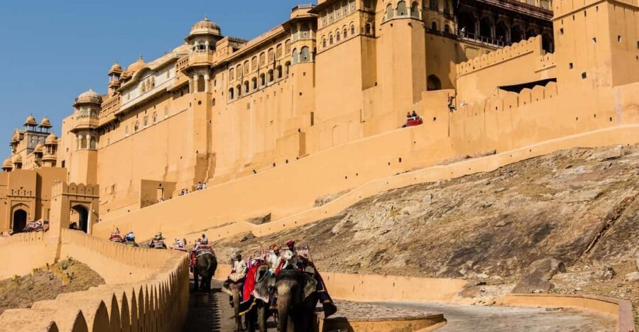 From Delhi: Jaipur Private Full-Day Guided Tour - Meeting Your Driver and Guide: What Personalized Service Actually Means