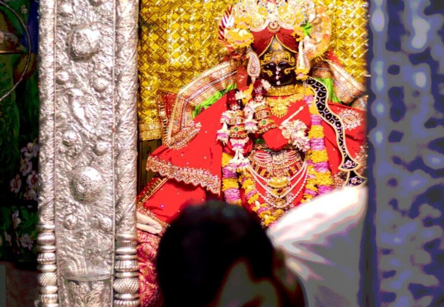 From Delhi: Private 1-day Mathura and Vrindavan Tour by Car - Should you book this Delhi to Mathura and Vrindavan tour?