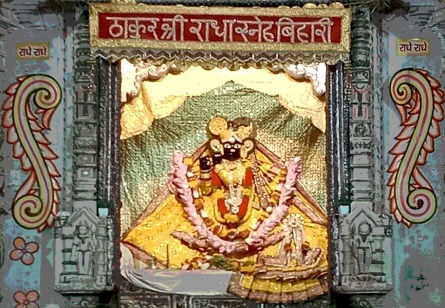 From Delhi: Private 1-day Mathura and Vrindavan Tour by Car - Who should book—and who should skip