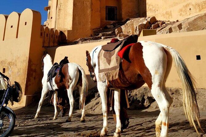From Delhi: Private Jaipur Tour by Car - All Inclusive - City Palace Jaipur: patterned gardens and museum rooms