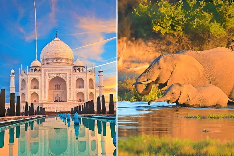 From Delhi: Sunrise Taj Mahal and Elephant Conservation Tour - Key things to know before you go