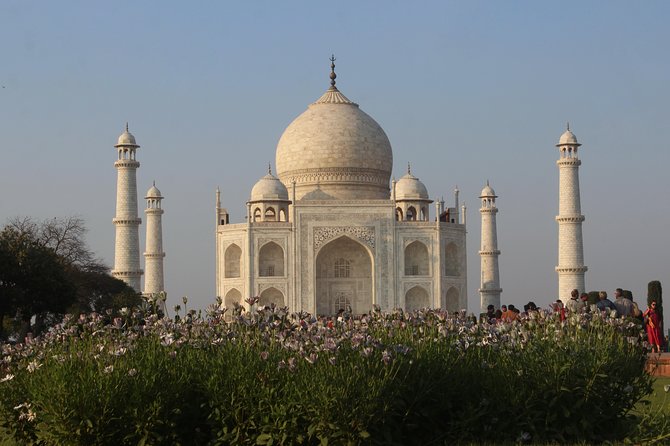 From Delhi Taj Mahal and Agra Fort Private Tour By India's fastest Train - The train back to Delhi: snacks, tea/coffee, and a smooth finish