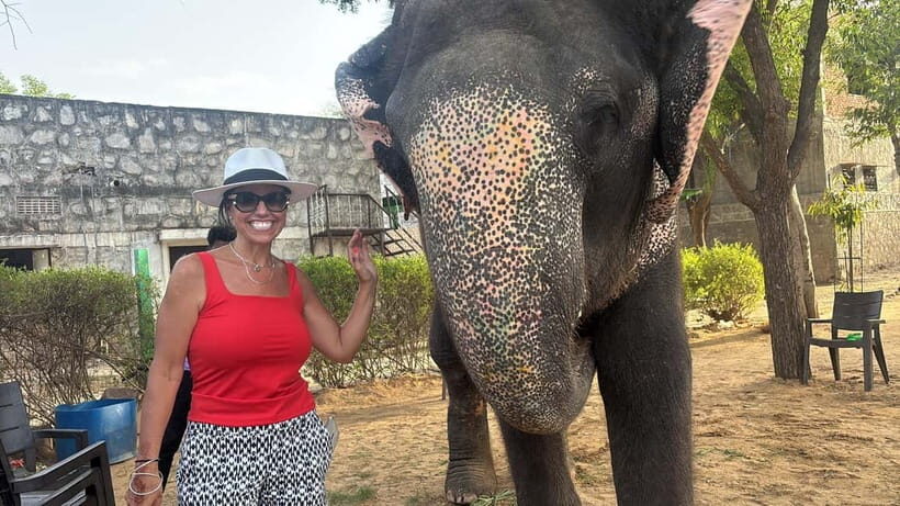 From Delhi: Taj Mahal Sunrise and Elephant Conservation Tour - Key highlights worth getting excited about