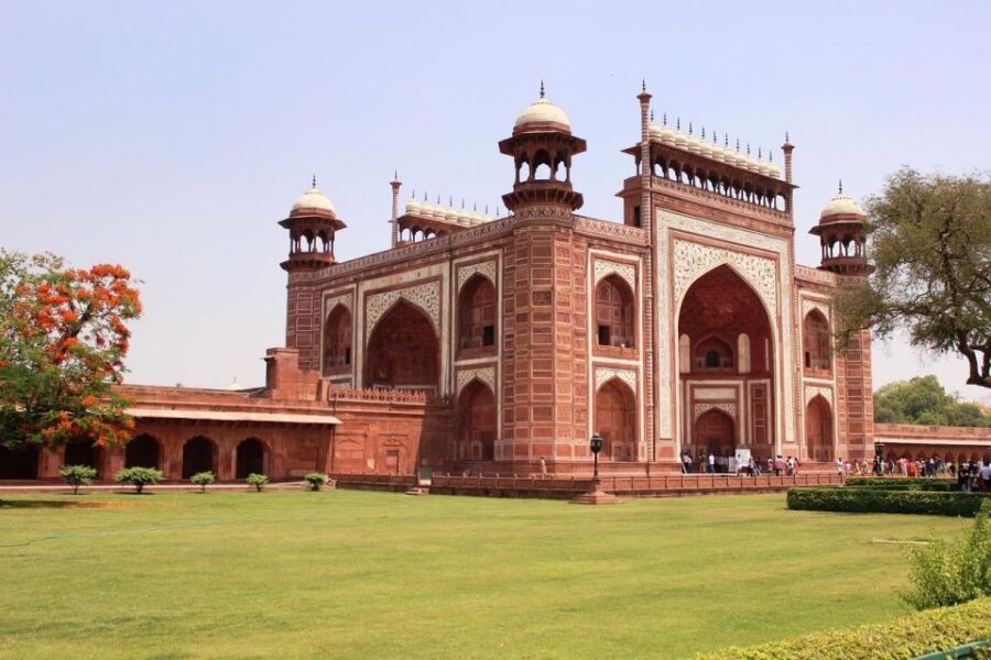 From Delhi: Taj Mahal Sunrise and Elephant Wildlife SOS Tour - What You Actually Get for the Price (And When Value Gets Even Better)