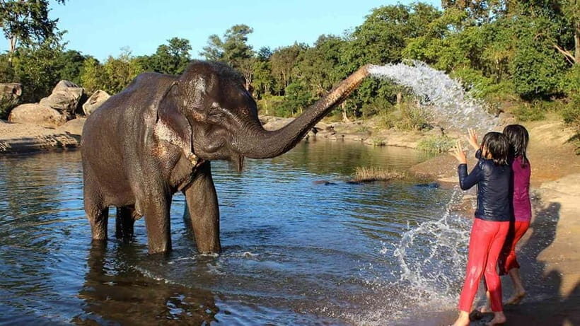 From Delhi: Taj Mahal Sunrise Tour w/ Elephant Conservation - Sunrise at the Taj Mahal: timing, skip-the-line, and what to expect