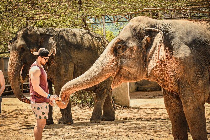 From Delhi: Taj Mahal Sunrise Tour with Elephant SOS Center - Why a Delhi-to-Agra sunrise tour makes sense (even if it starts early)