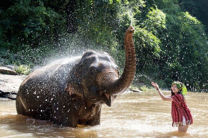 From Delhi: Taj Mahal Sunrise Tour with Elephant SOS Center - Who should book this tour, and who should think twice