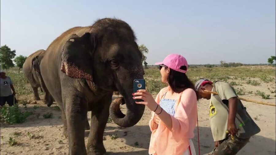 From Delhi: Taj Mahal with Photographer & Elephant SOS Tour - Agra Fort: the Mughal story you can walk through