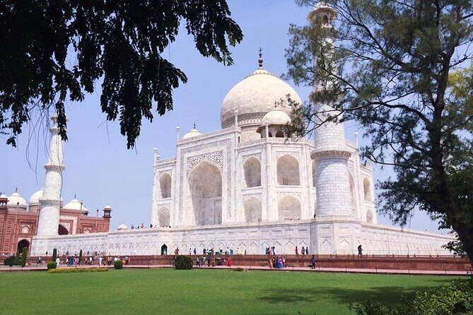 From Delhi:Taj Mahal Sunrise Tour with Elephant SOS Center - Key Points at a Glance