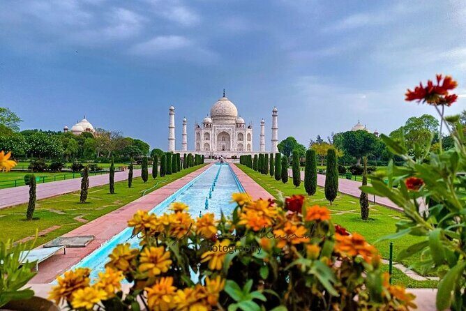 From Delhi:Taj Mahal Sunrise Tour with Elephant SOS Center - Price Check: Why $10 Can Still Be a Good Deal