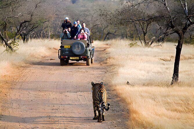 From Jaipur: 2 Days Private Tour of Ranthanbore Tigers Safari - Jaipur to Ranthambore: The Scenic Ride That Sets the Mood