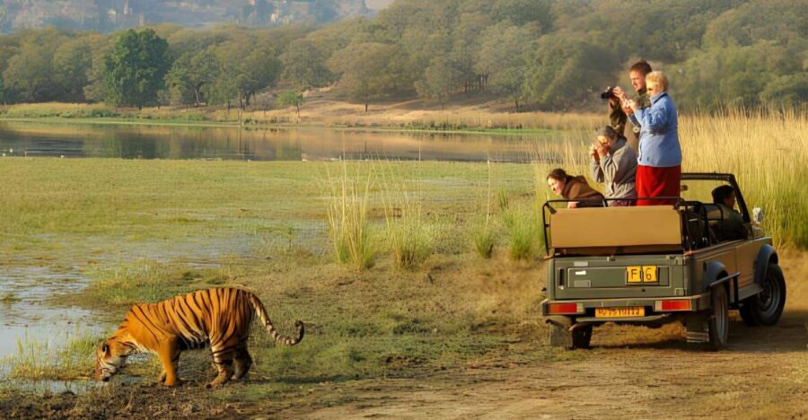 From Jaipur : 2 Days Ranthambore Tiger Safari Tour By Car - Two Days in Ranthambore: What This Jaipur Car Tour Really Delivers