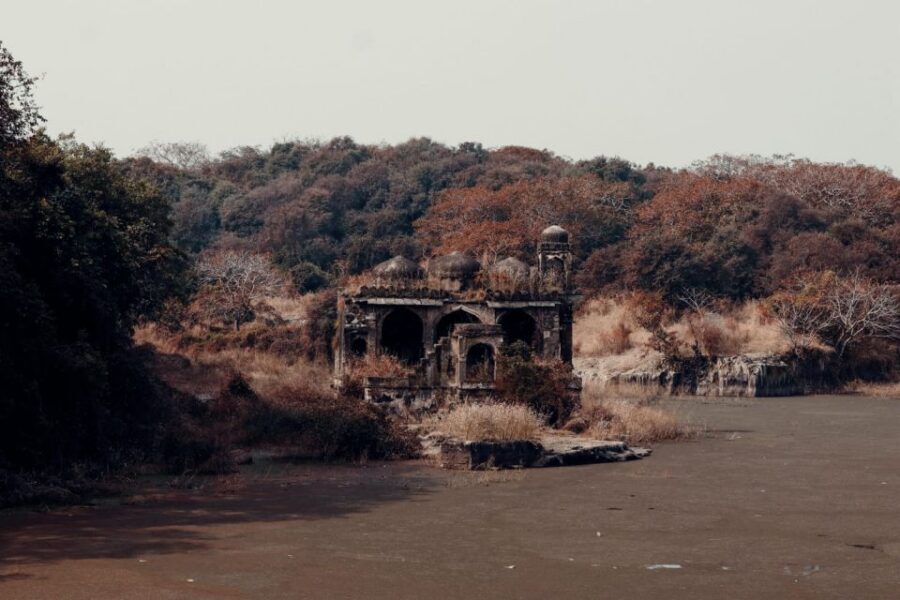 From Jaipur : 2 Days Ranthambore Tiger Safari Tour By Car - Getting From Jaipur to Ranthambore: The AC Car Part That Actually Matters