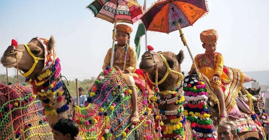From Jaipur: One-Day Trip From Jaipur to Pushkar - Why Pushkar Fits Into a One Long Day From Jaipur