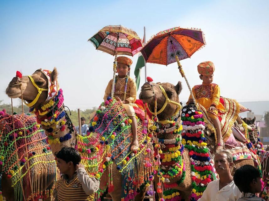 From Jaipur: One-Day Trip From Jaipur to Pushkar - Hotel Pickup To the 150-Mile Drive: How the Day Starts
