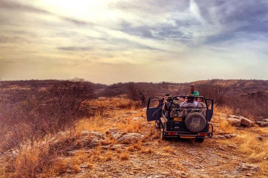 From Jaipur: Praivte Ranthambore Tour By Jeep Canter Safari - Key things to know before you go