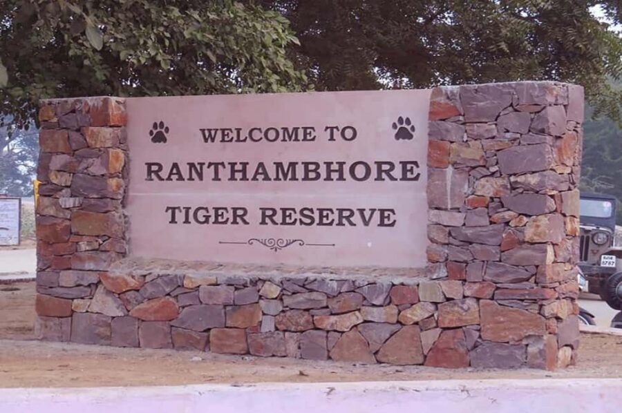 From Jaipur: Praivte Ranthambore Tour By Jeep Canter Safari - Jeep vs Canter safari: how the vehicle choice affects tiger odds and your day