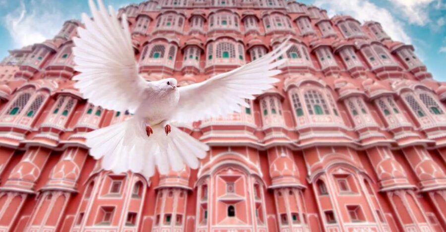 From Jaipur: Private Amber Fort, Jal Mahal and More Car Tour - Step Well: The Geometry Stop That Makes Jaipur Feel Ancient