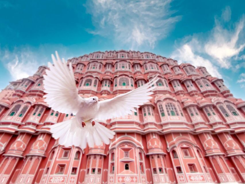 From Jaipur: Private Amber Fort, Jal Mahal and More Car Tour - How the Sightseeing Loop Works (and Why It’s Worth the 8 Hours)