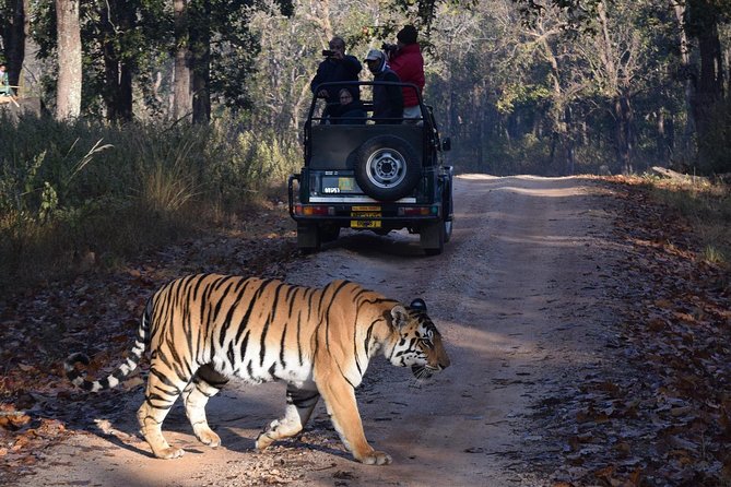 From Jaipur: Ranthambore Tiger Safari Private Day Tour - Quick hits before you go