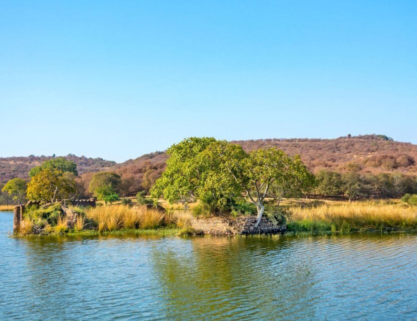 From Jaipur: Ranthambore Tour with Cab - The Park Beyond the Animals: Royal Fort and Ancient Temples