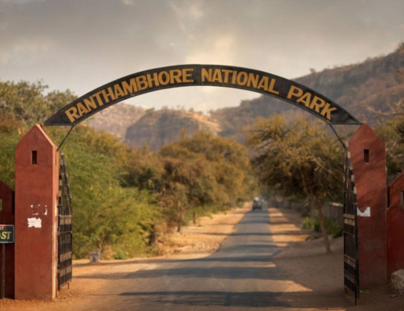 From Jaipur: Ranthambore Tour with Cab - Small Comfort Details That Can Make or Break Your Afternoon