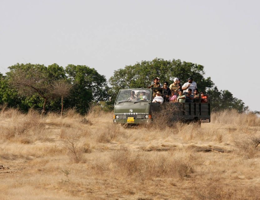 From Jaipur: Ranthambore Tour with Cab - Jaipur Pickup and the Ride to Sawai Madhopur in an AC Vehicle
