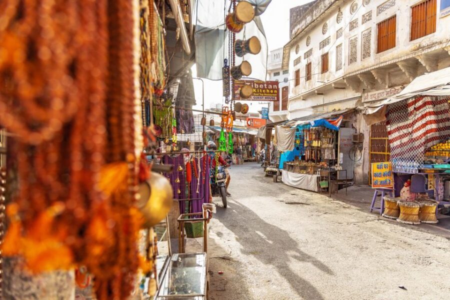 From Jaipur: Same Day Pushkar Self-Guided Day Trip - Who should book this Pushkar day trip from Jaipur