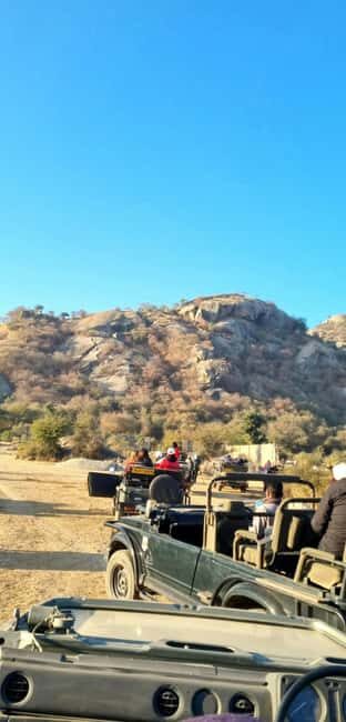 From Jaipur: Sariska National Park Day trip with Safari - Service quality: what to watch for on the ground