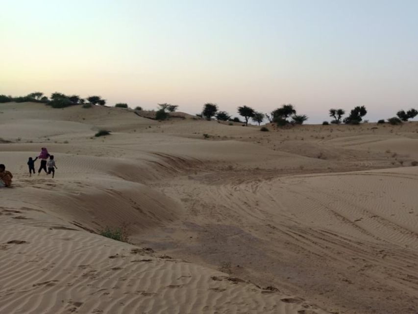 From Jodhpur: Half-Day Tour, Camel Ride, & Dinner in Osian - Camel ride in the Thar Desert at sunset: the main event