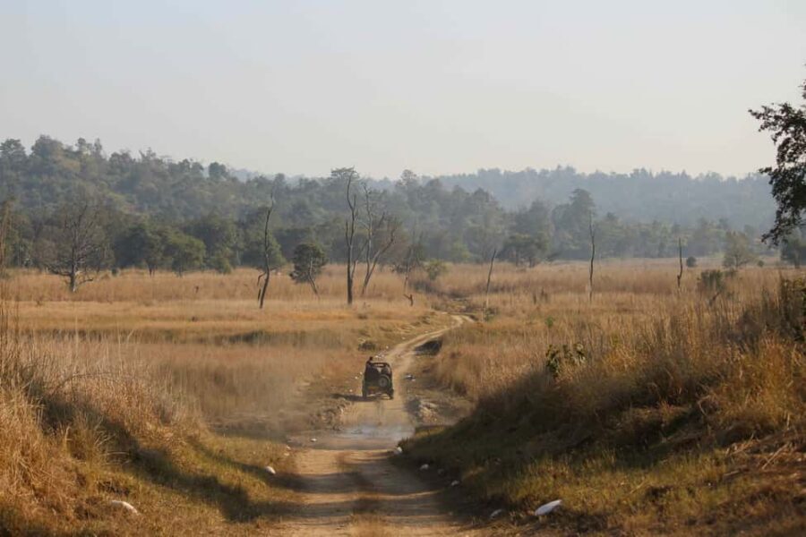 From Rishikesh: Rajaji National Park Half-Day Tour - Key things to know before you go