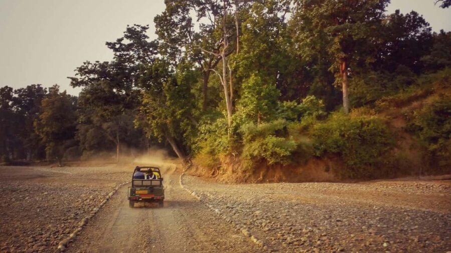 From Rishikesh: Rajaji National Park Half-Day Tour - Clothes, rules, and what to pack for Rajaji National Park