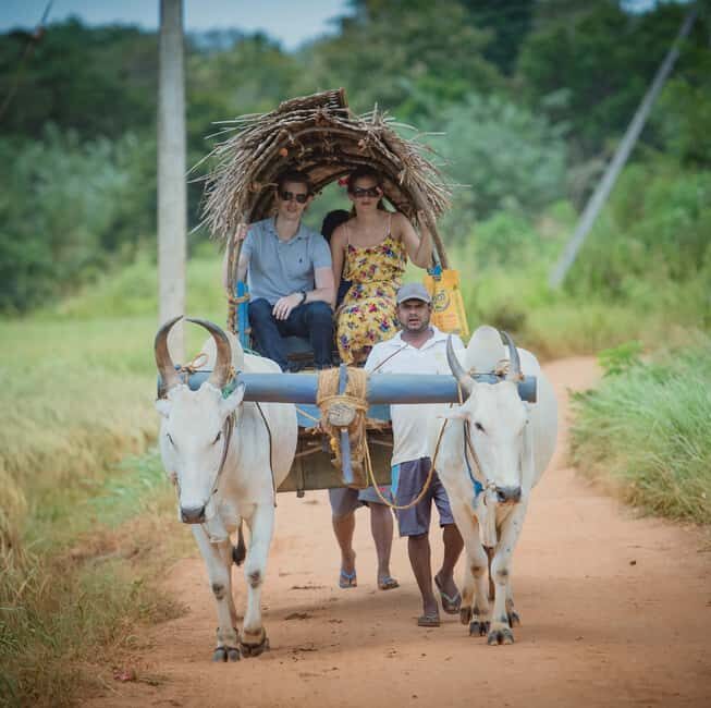 From Udaipur: Authentic Village Safari Experience - Price and logistics: is $29 good value for this kind of day?
