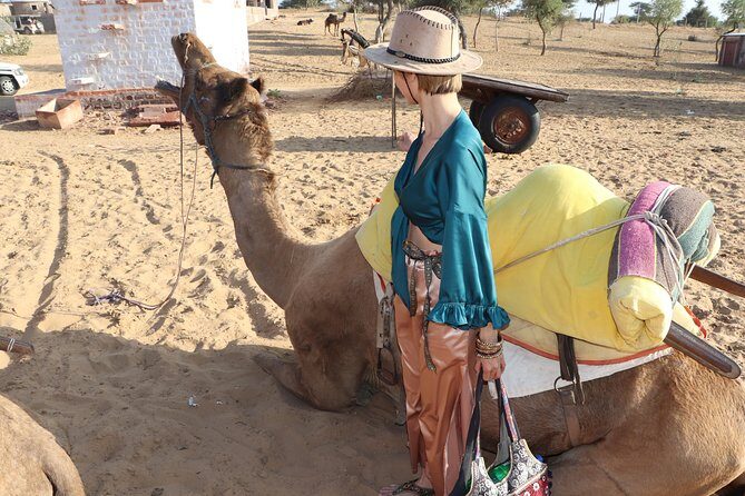 Full-Day Desert Safari with Jodhpur Heritage - Mehrangarh Fort: the big-view opener that sets the mood