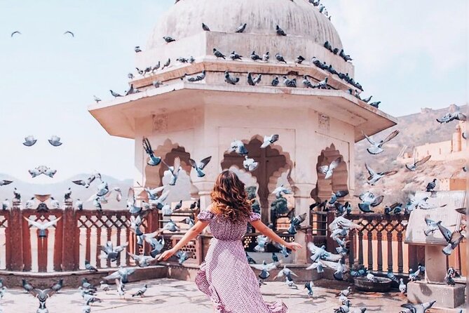 Full-Day Jaipur Tour Ending with a Sunset Experience - Amer Fort: The Photo Focus You’ll Feel in Your Results
