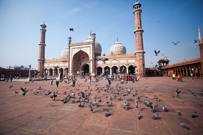 Full Day Old and New Delhi Private Tour with Guide - An efficient day that connects Delhi’s two worlds