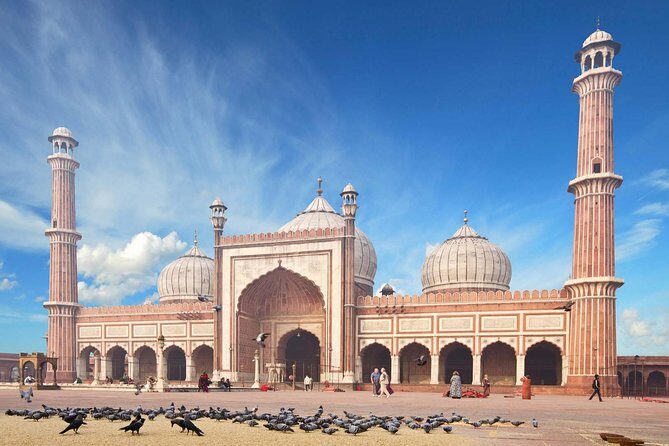 Full Day Private Custom Tour of New Delhi - Price and logistics: what $89 per person really covers
