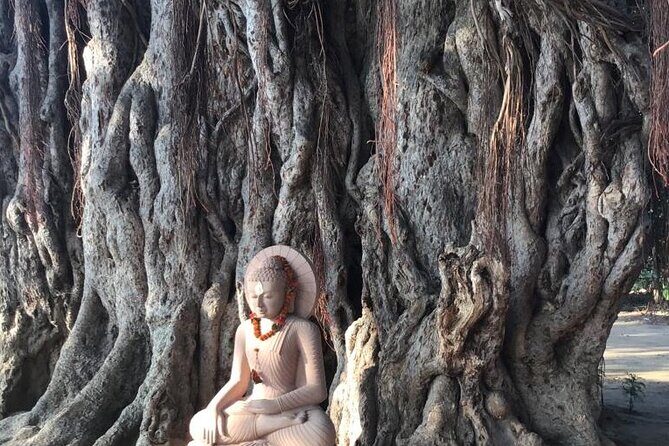 Full-Day Private Guided Bodhgaya Tour with Pick Up - Pickup at Café Coffee Day, then a calm start