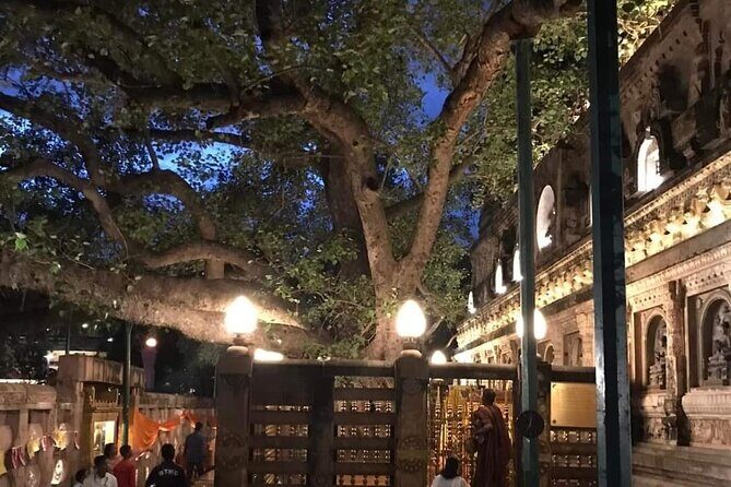 Full-Day Private Guided Bodhgaya Tour with Pick Up - Metta Buddharam Temple: mirrors and stainless steel detail