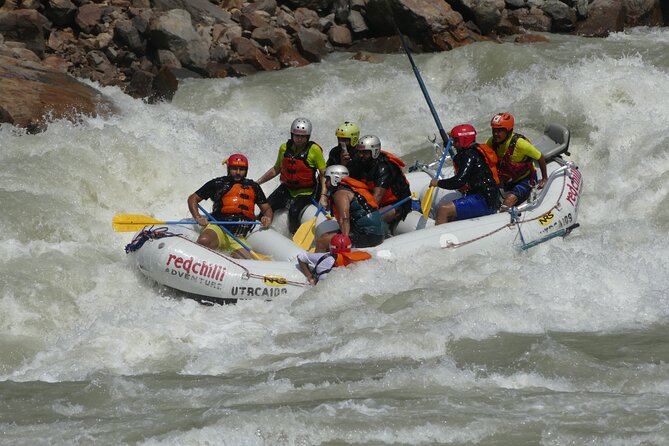 Full Day Rafting in Rishikesh - 35KM - Transportation and group size: private for your crew, shared on the road