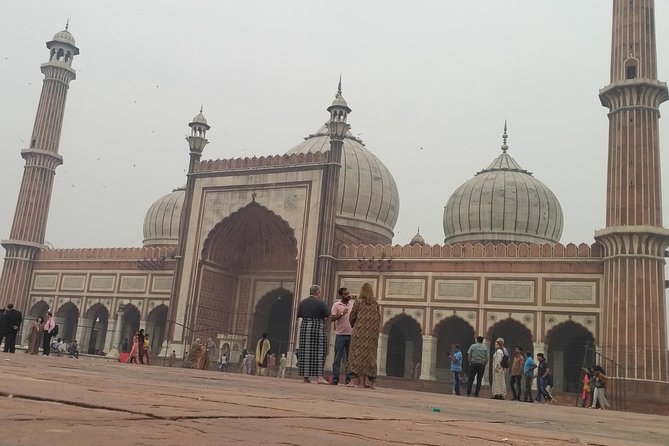 Full Day Tour of Delhi With Guide & Entrances - Price and logistics: what you get for the money