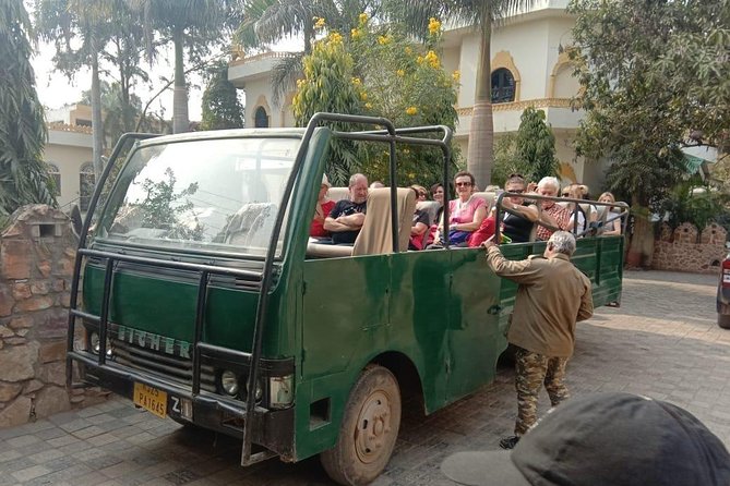 Full-Day Trip to Ranthambore National Park from Jaipur - Logistics That Matter: Timing, Tickets, and Group Comfort